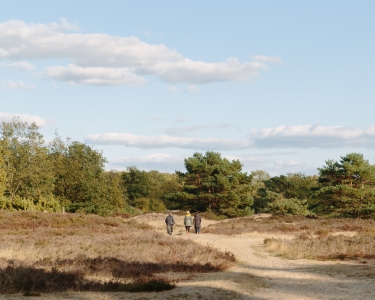 Zuidlaren