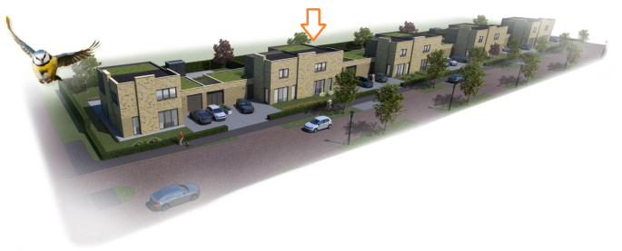 Gele akker | Kloosterakker, Zonneweide | Halfvrijstaand, bouwnummer: 227, Assen