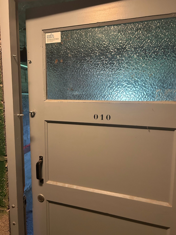 Populierenlaan berging 10 portiek 107-117 ong, 9741 HA, Groningen
