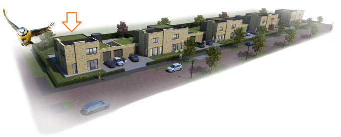 Gele akker | Kloosterakker, Zonneweide | Vrijstaand, Assen