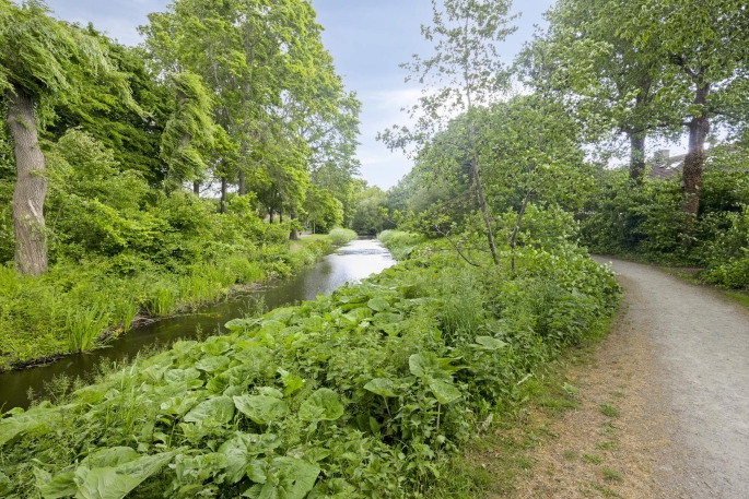 De Blauwe Zegge 31, 7702 AH, Dedemsvaart