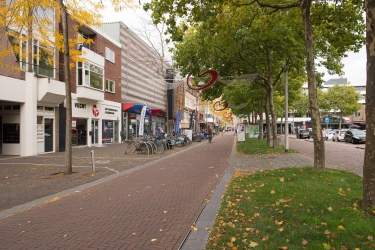 Burgemeester Kuperusplein 142, 8442 CJ, Heerenveen