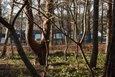 Asserstraat 23, 9451 AA, Rolde