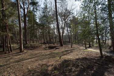 Asserstraat 23, 9451 AA, Rolde