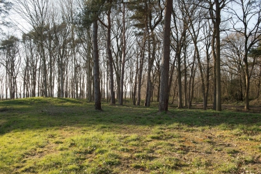 Asserstraat 23, 9451 AA, Rolde